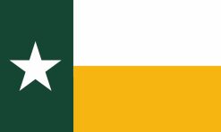 5in x 3in Green and Gold Texas Flag Magnet
