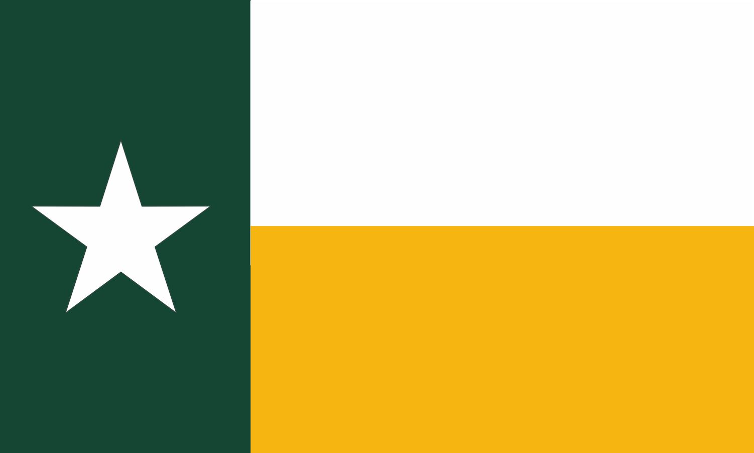 5in x 3in Green and Gold Texas Flag Magnet