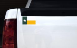 Green and Gold Texas Flag Magnet