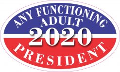 Oval Any Functioning Adult 2020 Sticker