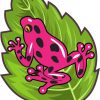Pink Poison Dart Frog Sticker