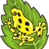Yellow Poison Dart Frog Sticker