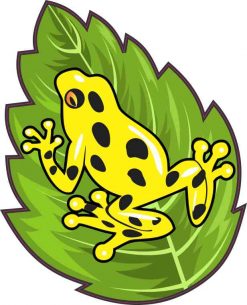 Yellow Poison Dart Frog Sticker