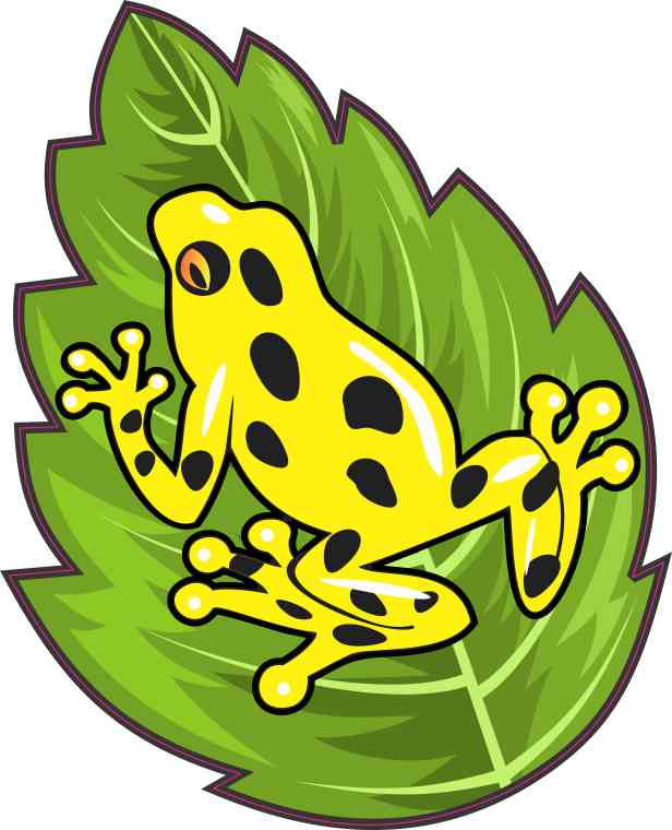 Yellow Poison Dart Frog Sticker