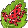 Red Poison Dart Frog Sticker