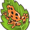 Orange Poison Dart Frog Sticker