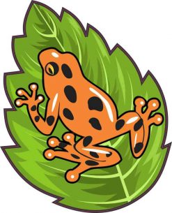 Orange Poison Dart Frog Sticker