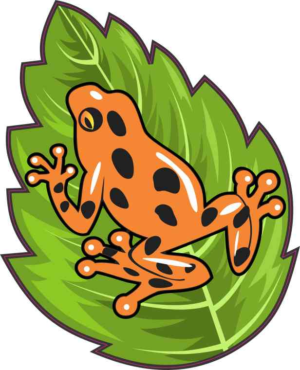 Orange Poison Dart Frog Sticker