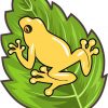 Golden Dart Frog Sticker
