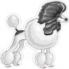 Poodle Sticker