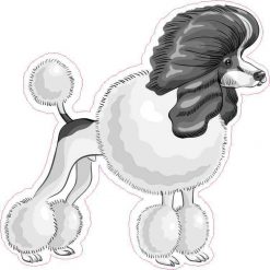 Poodle Sticker
