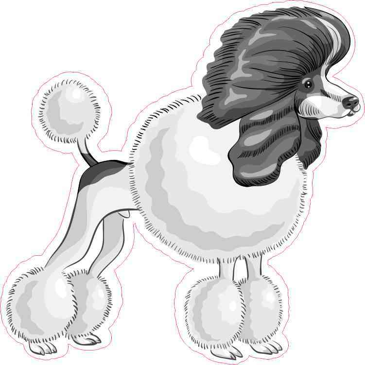 Poodle Sticker