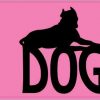 Crazy Dog Lady Bumper Sticker