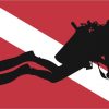 Diver Down Flag Magnet
