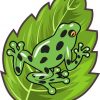 Green Poison Dart Frog Sticker