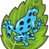 Blue Poison Dart Frog Sticker