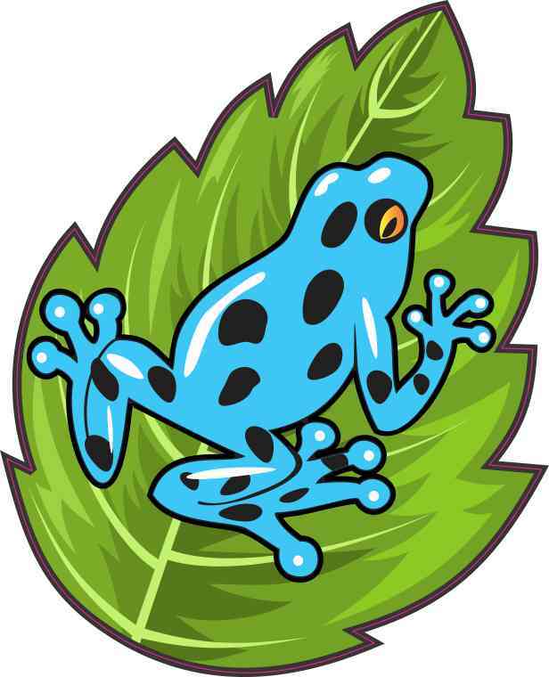 Blue Poison Dart Frog Sticker