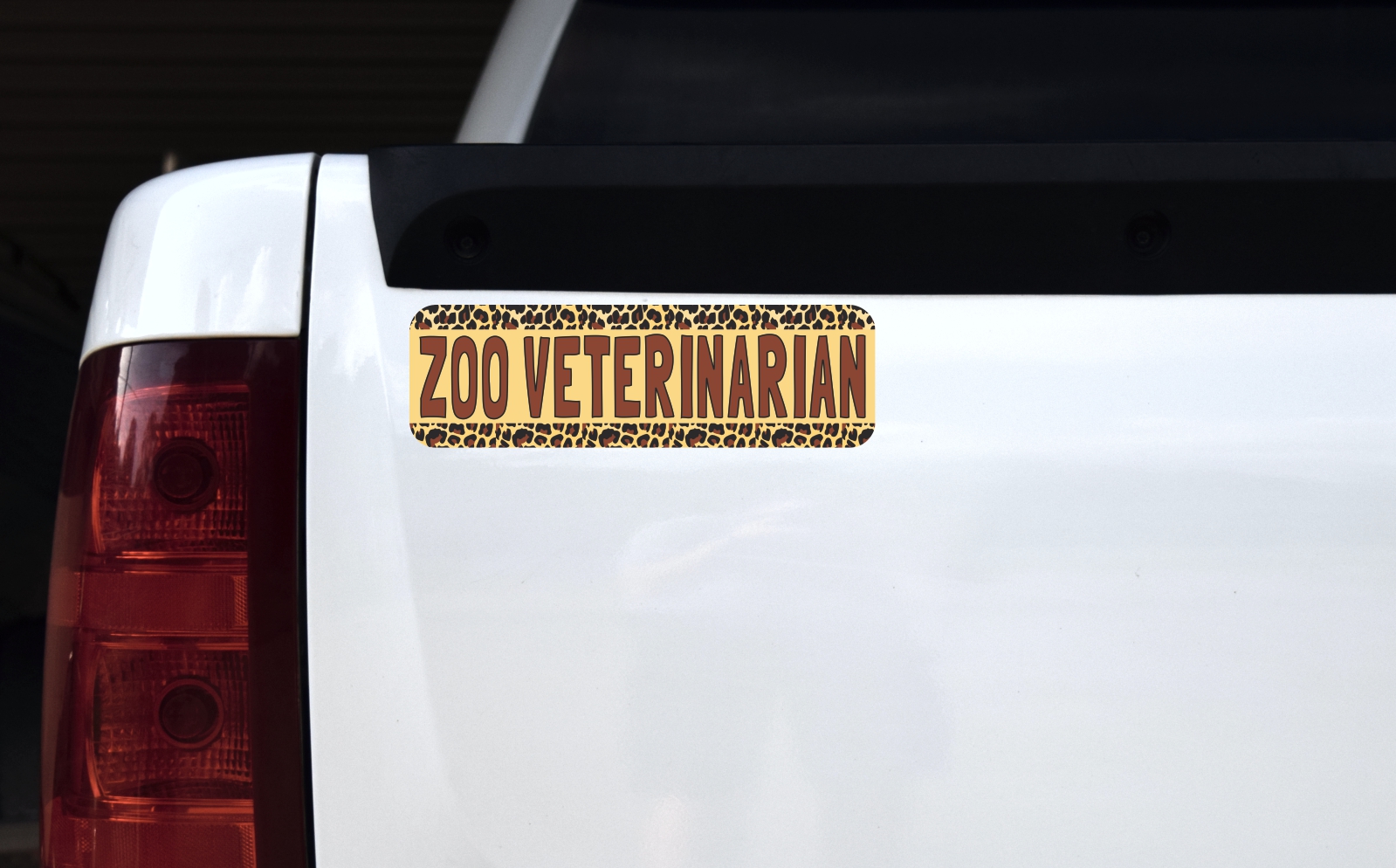 StickerTalk Zoo Veterinarian Magnet, 10 inches x 3 inches - Image 2
