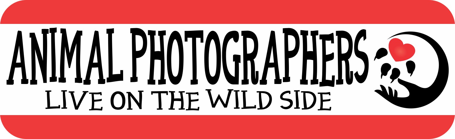 Animal Photographers Magnet