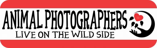 Animal Photographers Vinyl Sticker