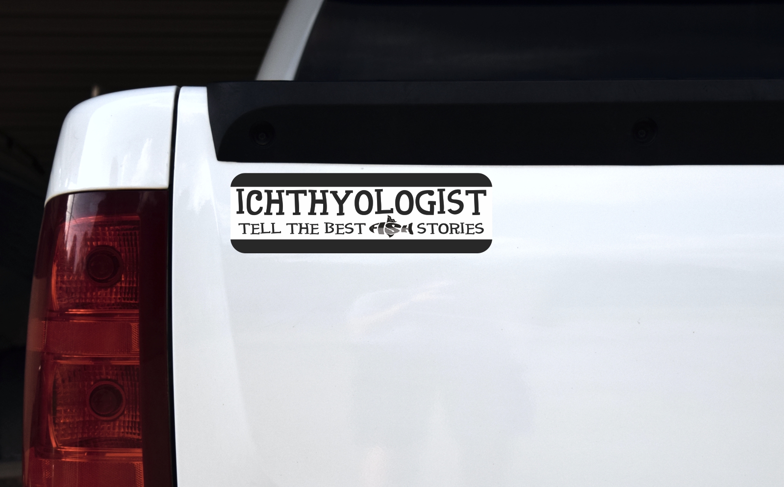 StickerTalk Ichthyologist Magnet, 10 inches x 3 inches - Image 2