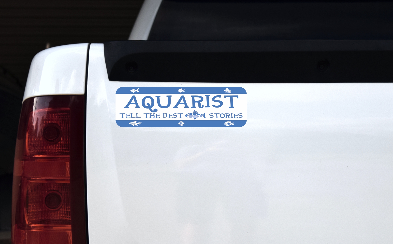 Aquarist Tell the Best Fish Stories Magnet