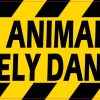 Animals Are Extremely Dangerous Magnet