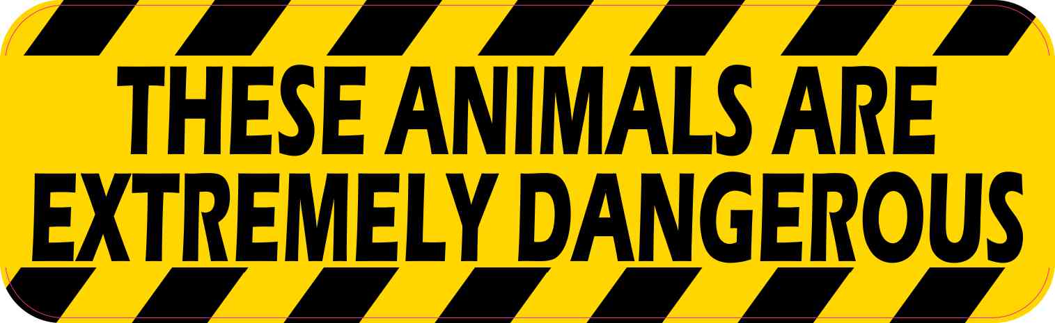 Animals Are Extremely Dangerous Magnet