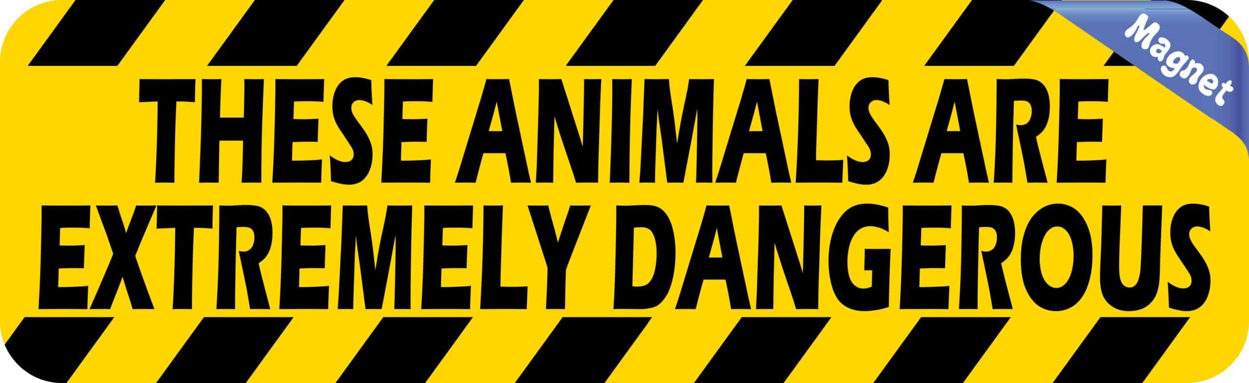 10in x 3in Animals Are Extremely Dangerous Magnet