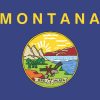 Montana State Flag Magnet