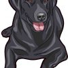 Black Labrador Retriever Sticker