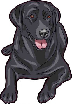 Black Labrador Retriever Sticker
