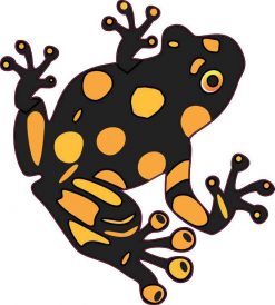 Gold and Black Dart Frog Sticker