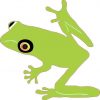 American Green Tree Frog Sticker