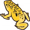 Yellow with Black Spots Frog Sticker