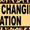 Leopard Print Diaper Changing Station Magnet