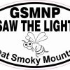 Oval GSMNP I Saw the Lights Sticker