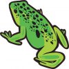 Green Frog Sticker