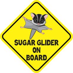 Gray Sugar Glider on Board Magnet