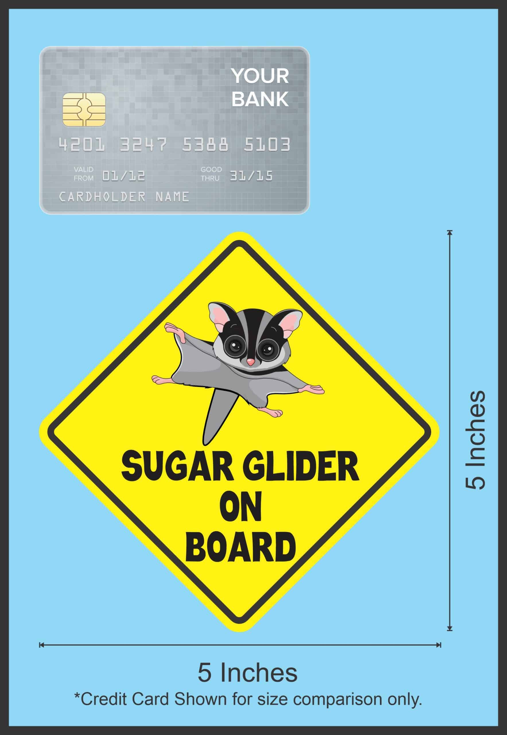5in x 5in Gray Sugar Glider on Board Magnet - Image 4