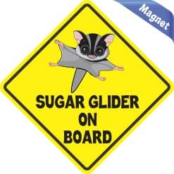 Alternative view of 5in x 5in Gray Sugar Glider on Board Magnet