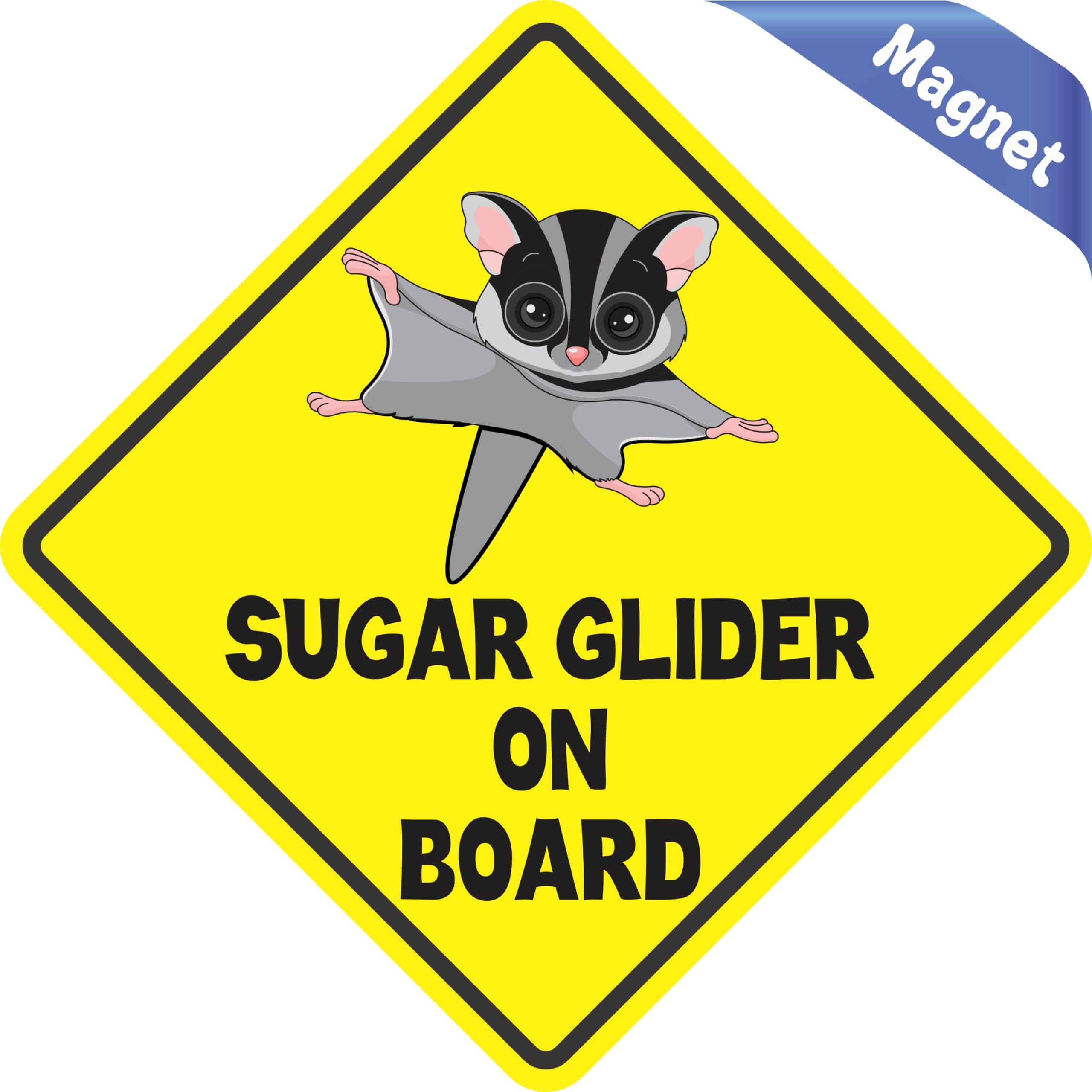5in x 5in Gray Sugar Glider on Board Magnet - Image 2