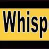 Bee Whisperer Bumper Sticker