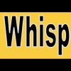 Bee Whisperer Magnet