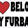 My Heart Belongs to My Furbabies Magnet