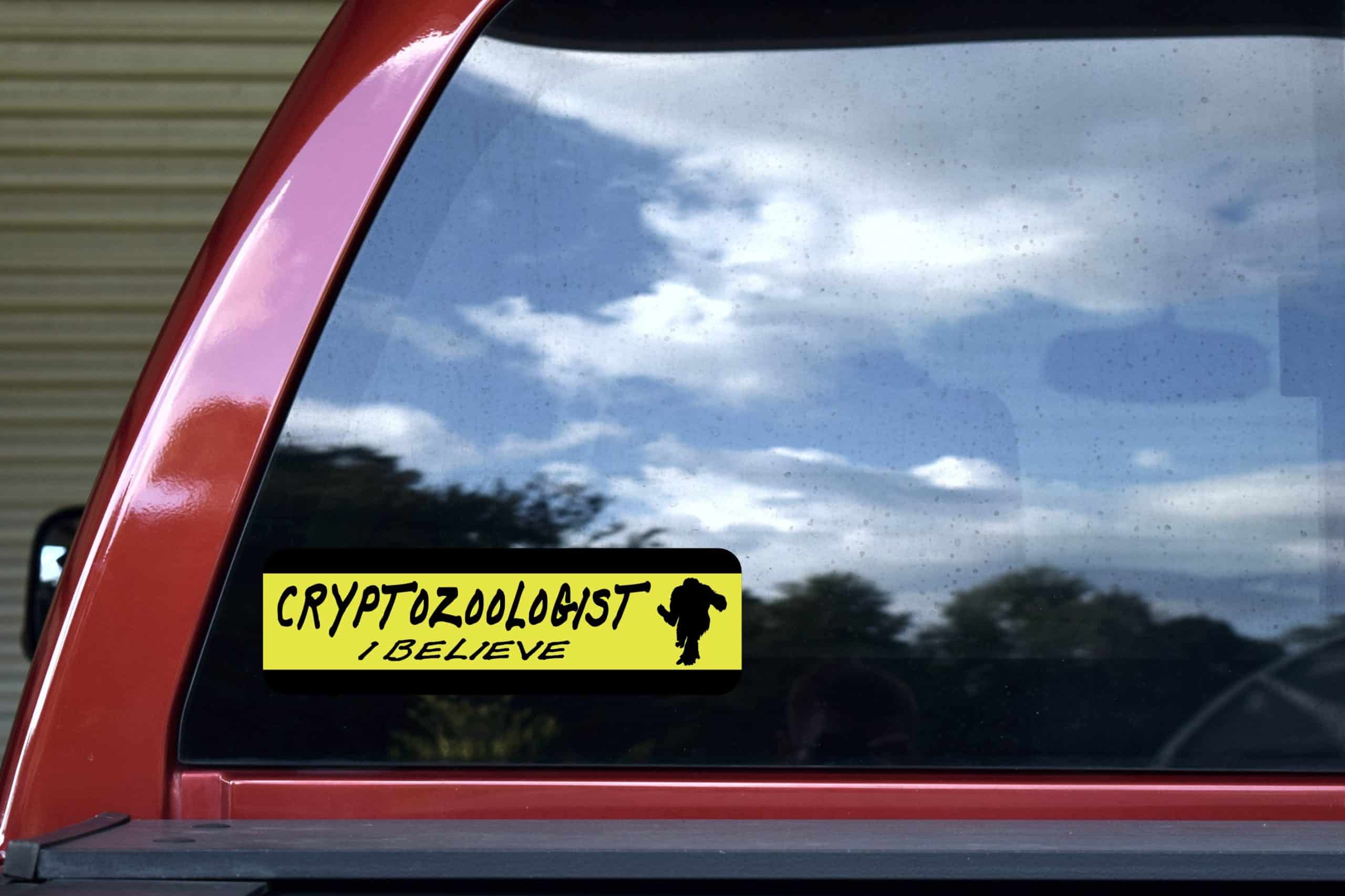 10in x 3in Cryptozoologist I Believe Bumper Sticker - Image 5