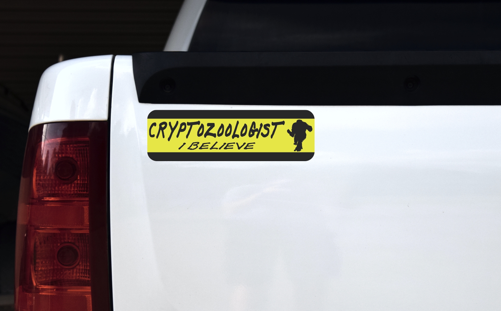 Cryptozoologist I Believe Magnet