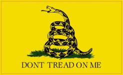 Gadsden Flag Magnet