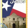 Texas Stamp Vinyl Sticker