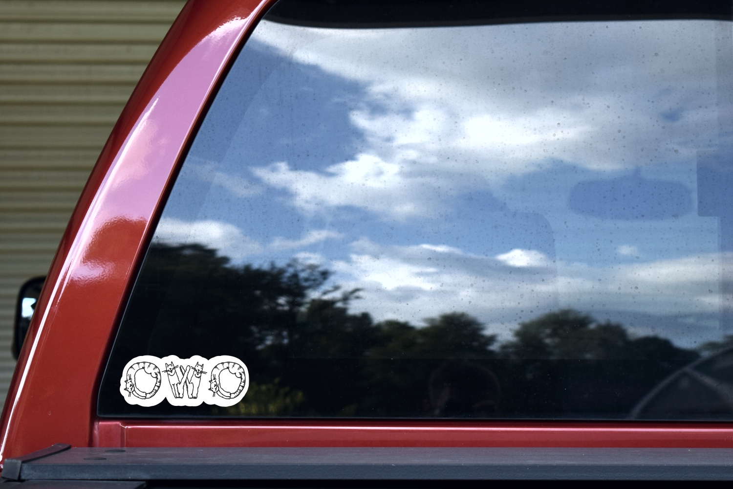 Cat OWO Sticker